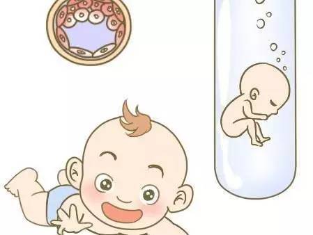 陈若晴 副院长